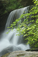 Bradley falls